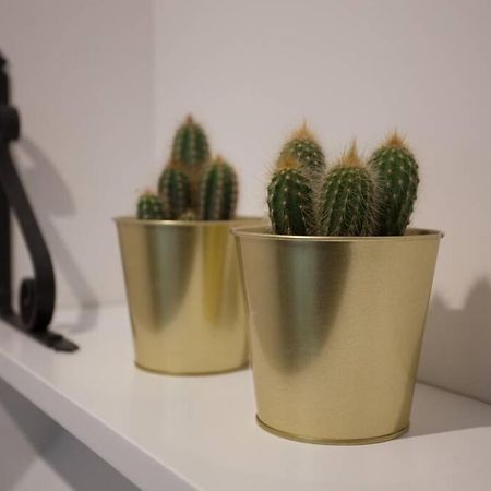 빌바오 Bonito Apartamento, Nuevo Y En El Casco Viejo!!! 아파트 외부 사진